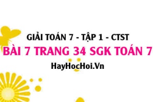 Giải bài 7 trang 34 Toán 7 Tập 1 SGK Chân trời sáng tạo